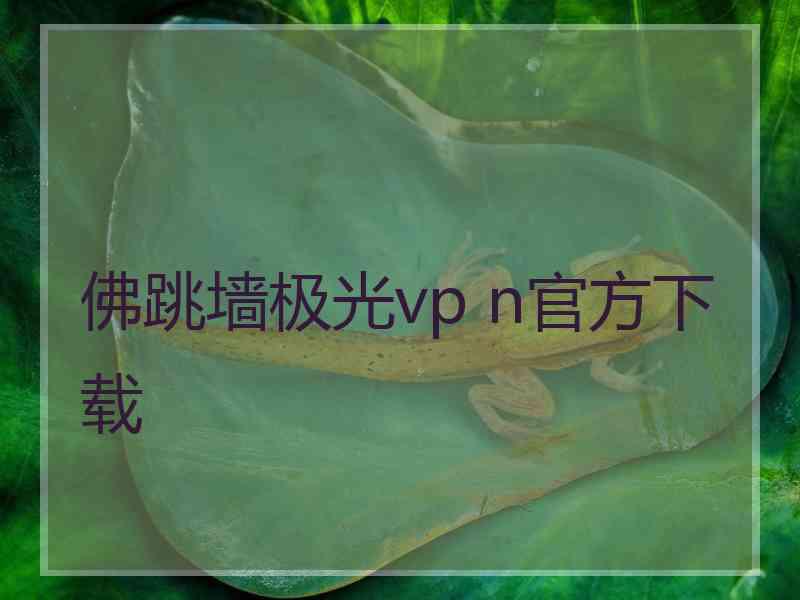 佛跳墙极光vp n官方下载