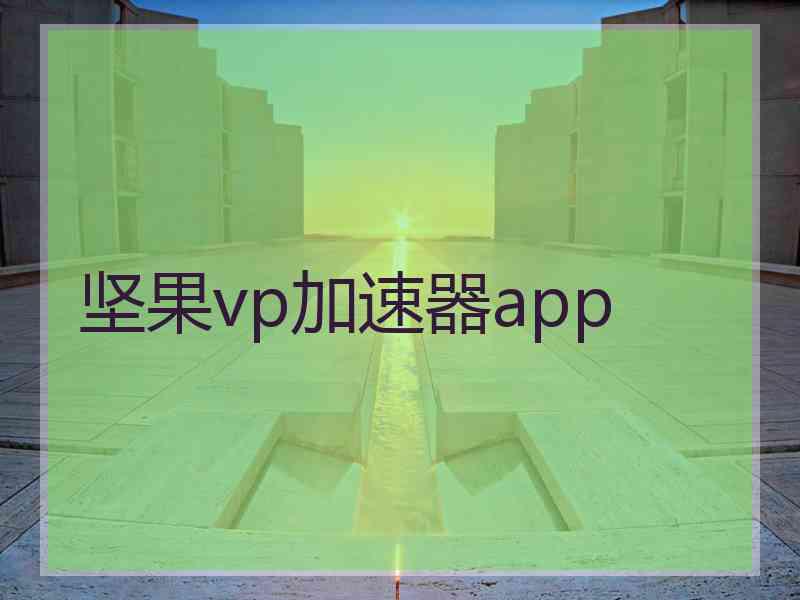 坚果vp加速器app