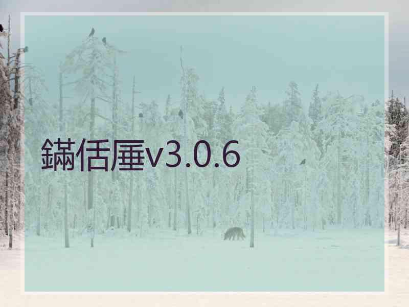 鏋佸厜v3.0.6