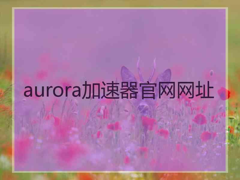 aurora加速器官网网址