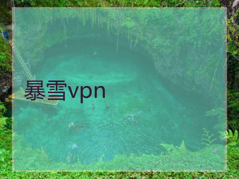 暴雪vpn