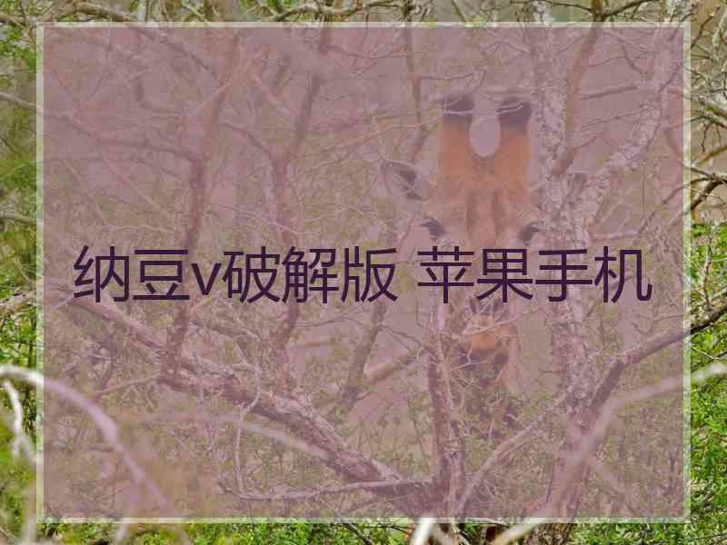 纳豆v破解版 苹果手机