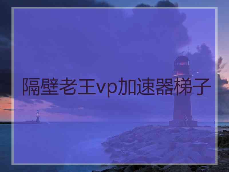 隔壁老王vp加速器梯子