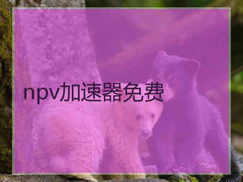 npv加速器免费