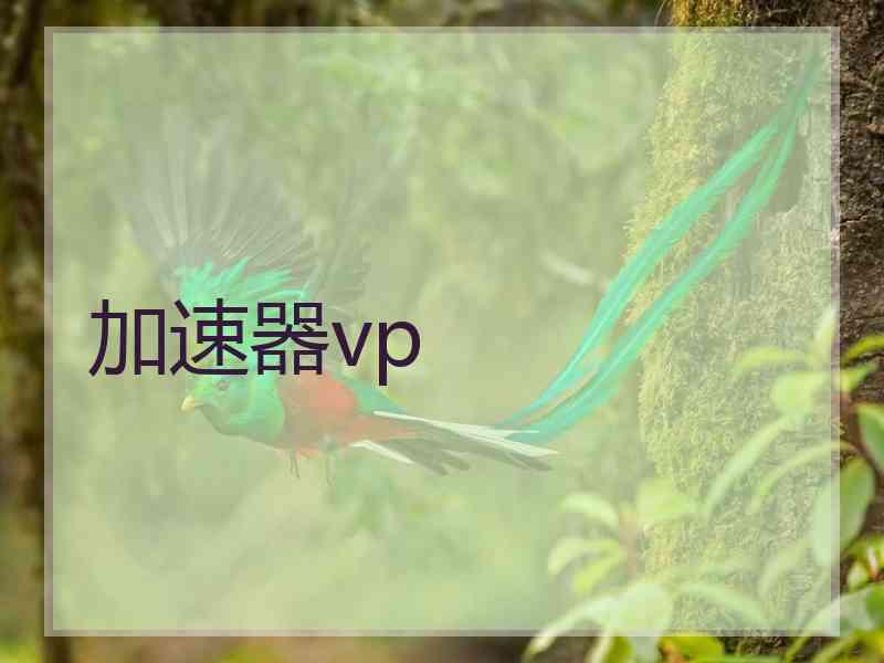 加速器vp