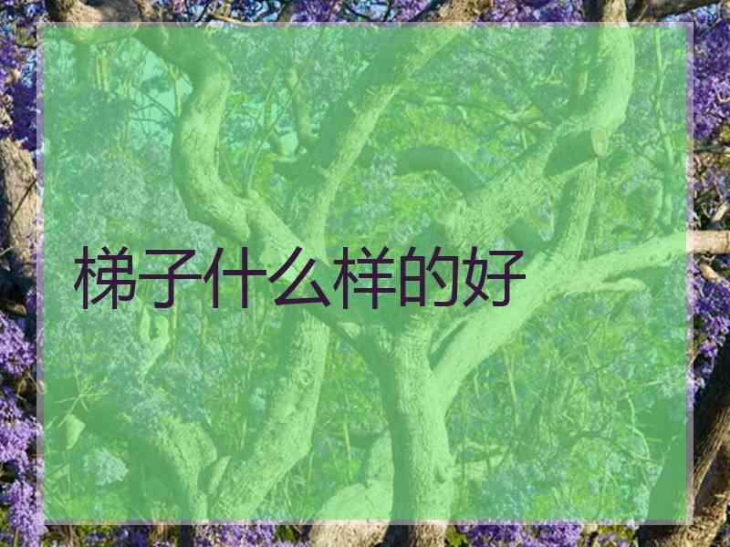 梯子什么样的好 梯子什么样的好