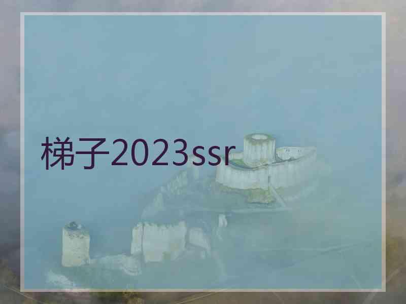 梯子2023ssr