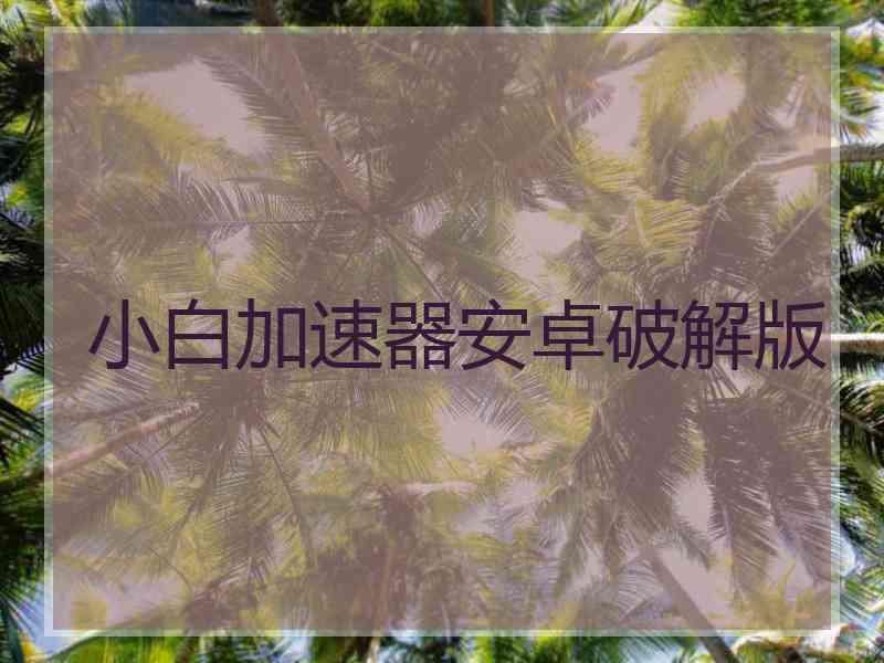 小白加速器安卓破解版