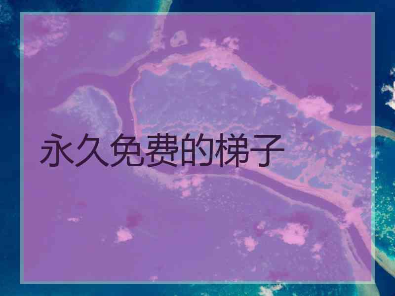 永久免费的梯子