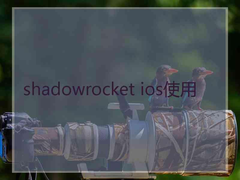 shadowrocket ios使用