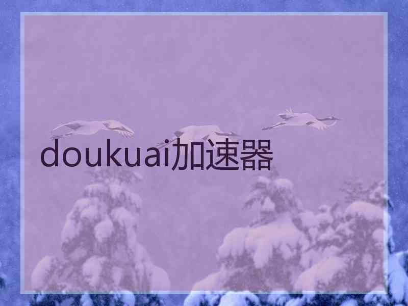 doukuai加速器