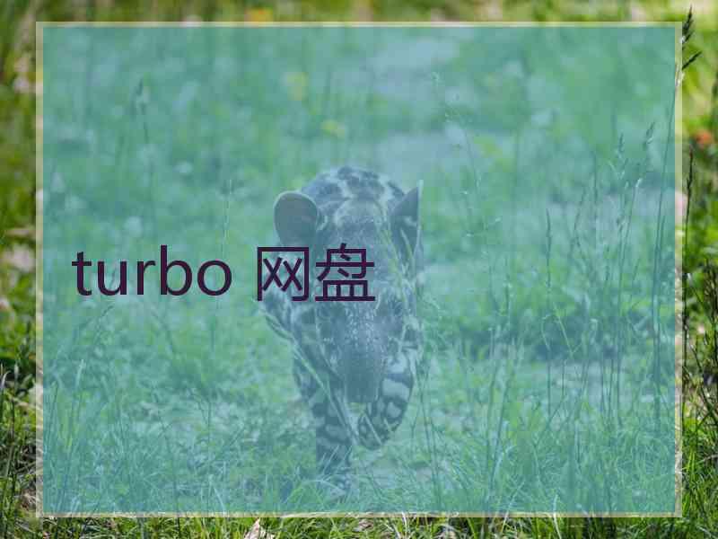 turbo 网盘