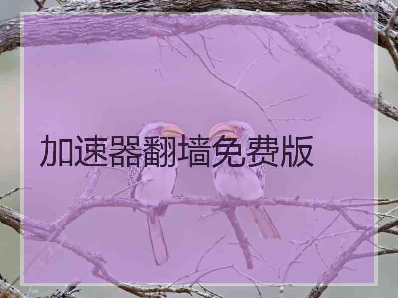 加速器翻墙免费版