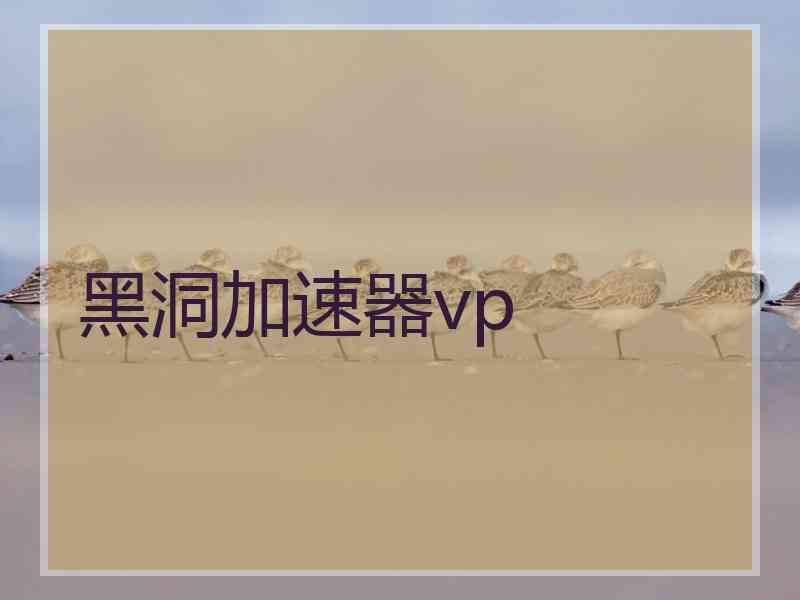 黑洞加速器vp