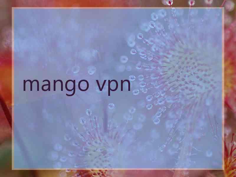 mango vpn