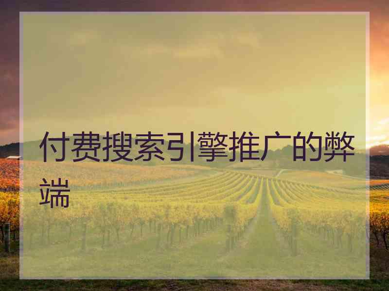 付费搜索引擎推广的弊端