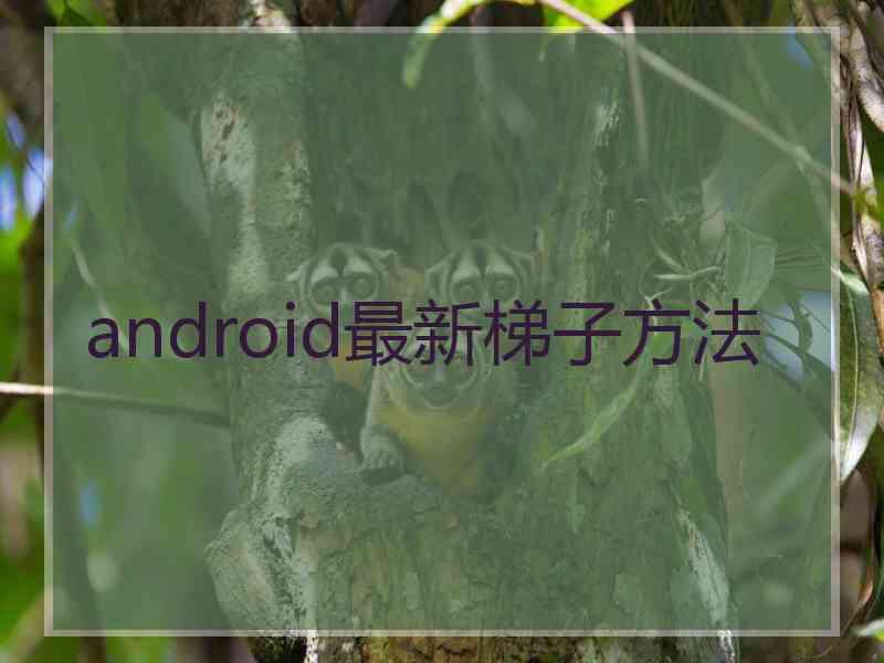 android最新梯子方法