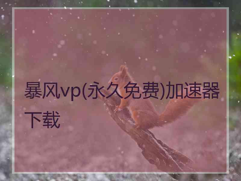 暴风vp(永久免费)加速器下载