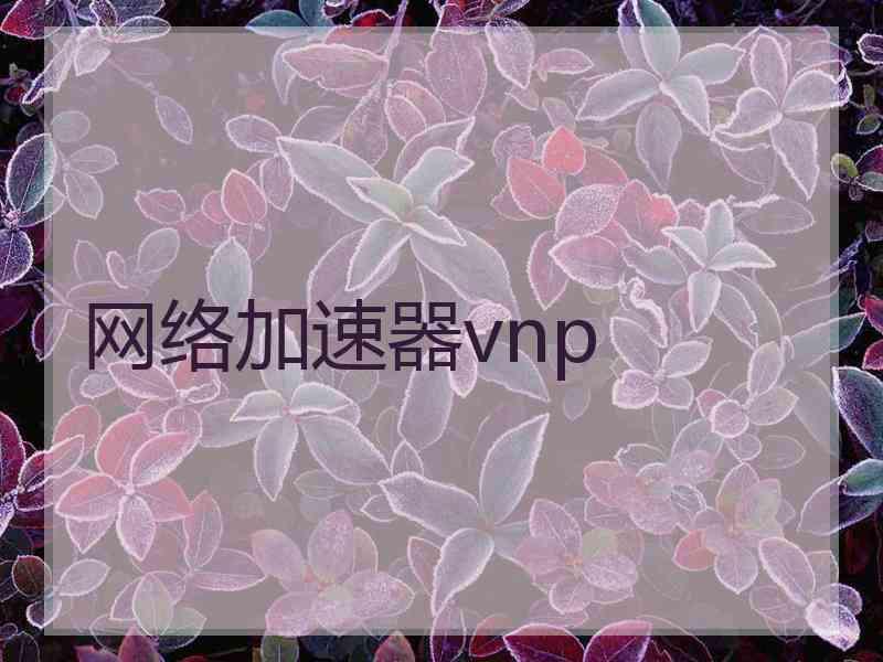 网络加速器vnp