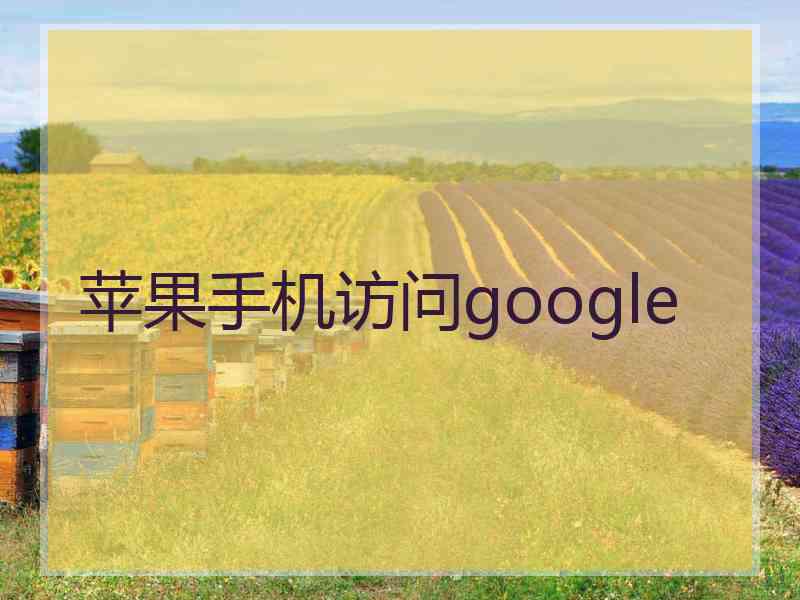 苹果手机访问google