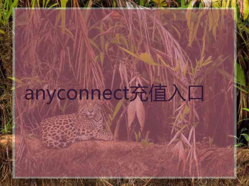 anyconnect充值入口