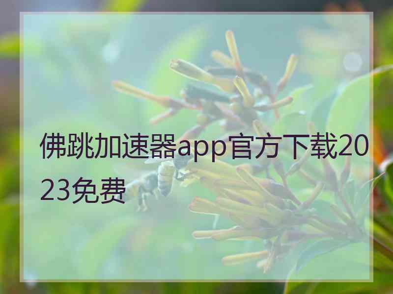 佛跳加速器app官方下载2023免费