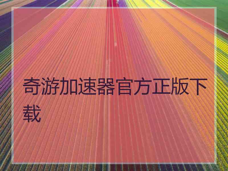 奇游加速器官方正版下载