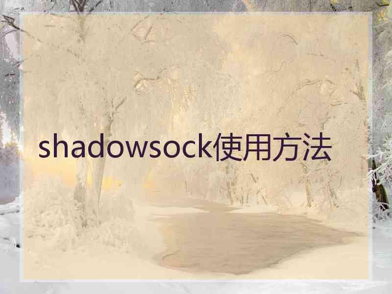 shadowsock使用方法