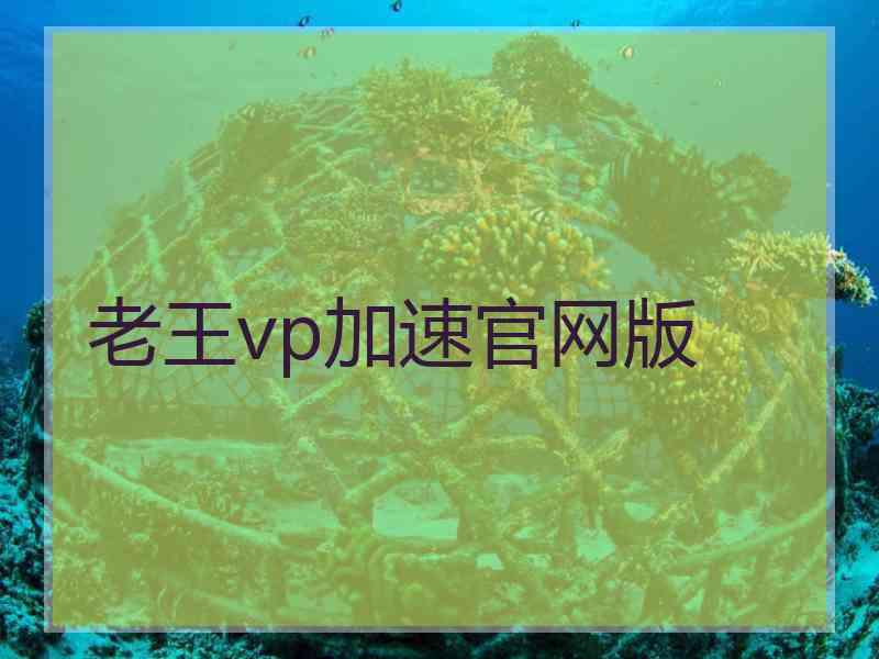 老王vp加速官网版