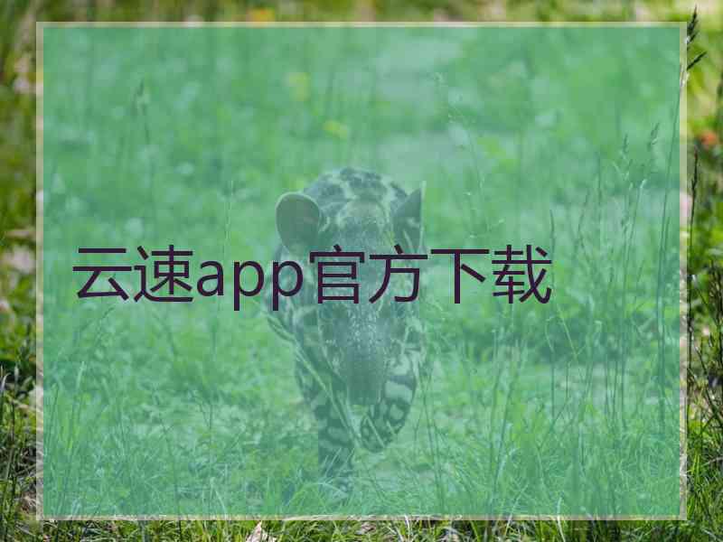 云速app官方下载