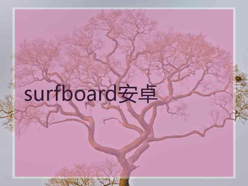 surfboard安卓