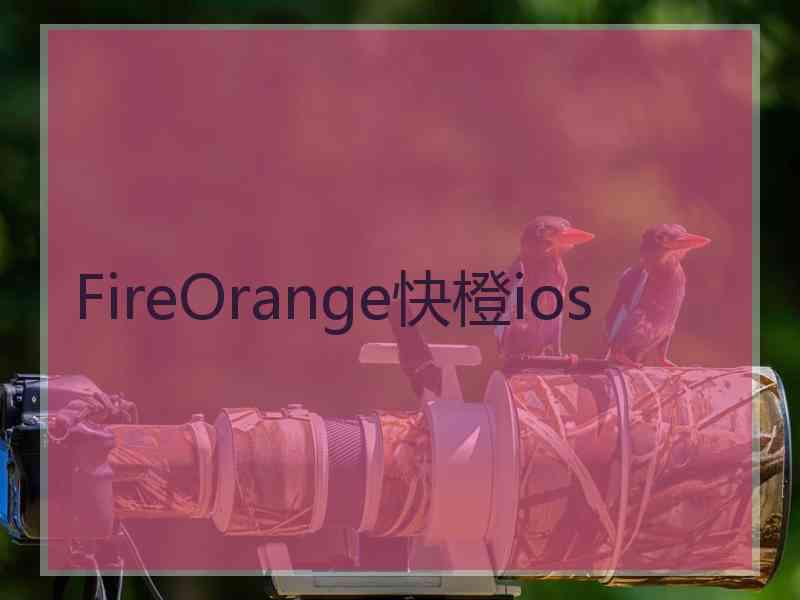 FireOrange快橙ios