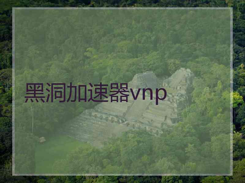 黑洞加速器vnp