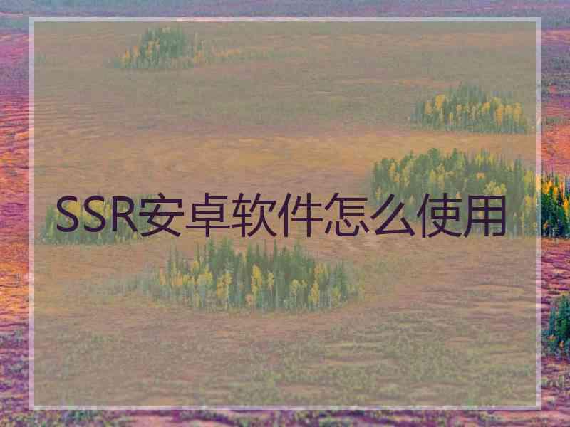 SSR安卓软件怎么使用