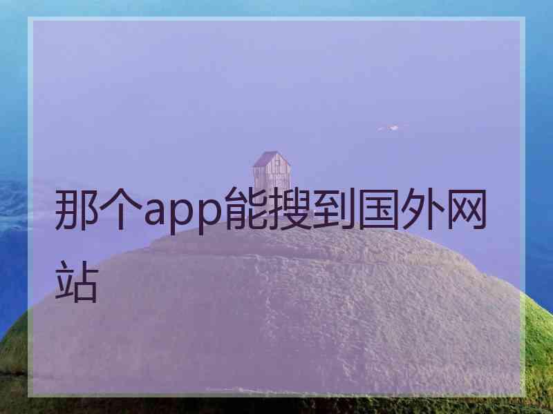 那个app能搜到国外网站