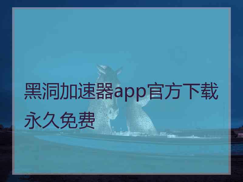 黑洞加速器app官方下载永久免费