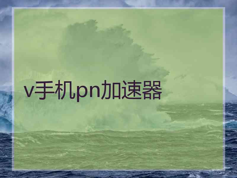 v手机pn加速器