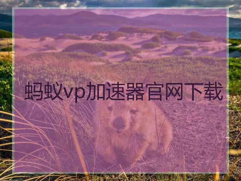 蚂蚁vp加速器官网下载