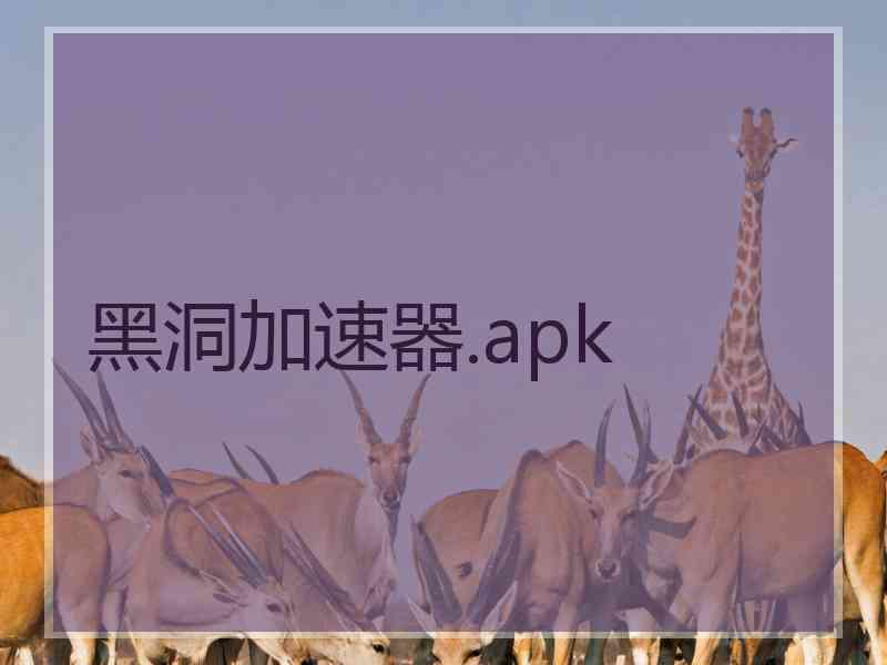 黑洞加速器.apk