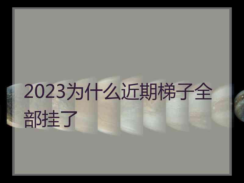 2023为什么近期梯子全部挂了