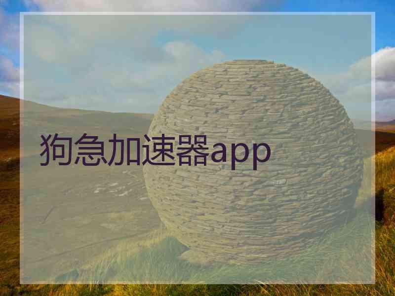 狗急加速器app