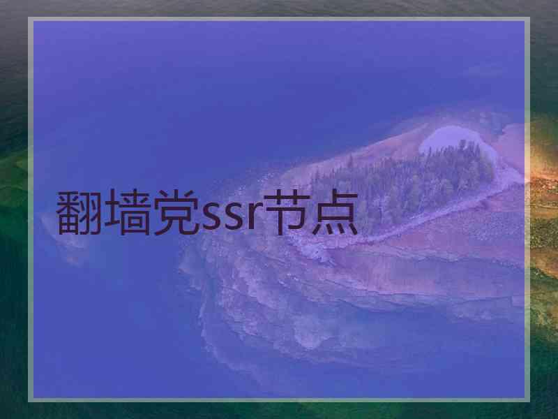 翻墙党ssr节点