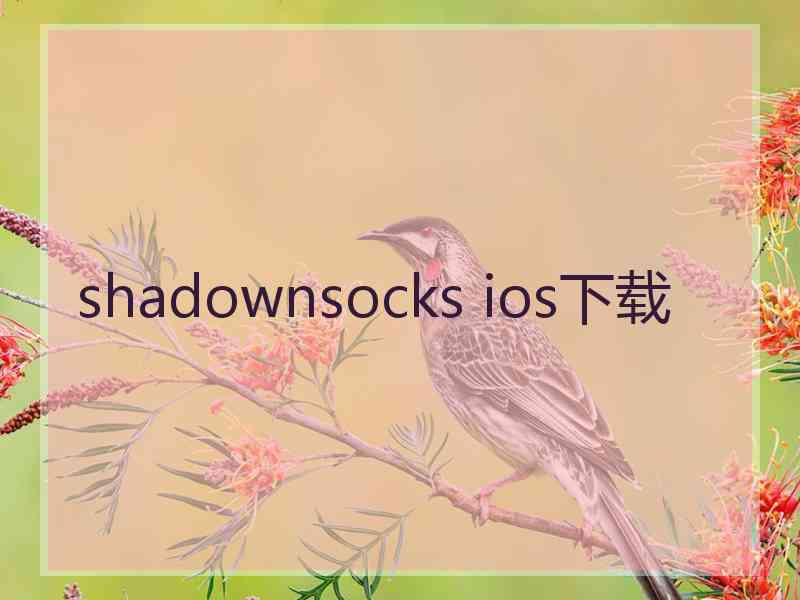 shadownsocks ios下载