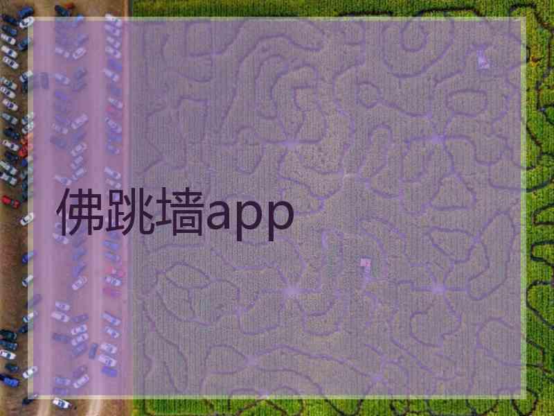 佛跳墙app