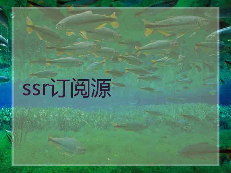 ssr订阅源