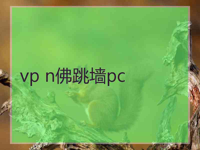 vp n佛跳墙pc