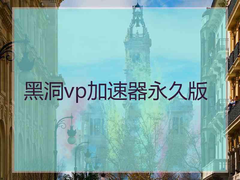 黑洞vp加速器永久版