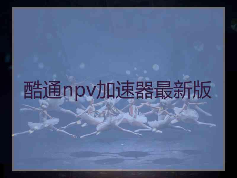 酷通npv加速器最新版