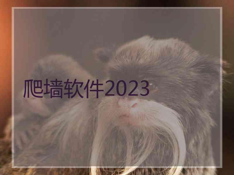 爬墙软件2023