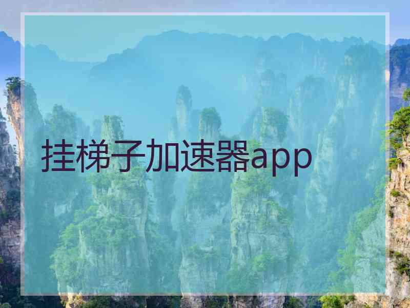 挂梯子加速器app